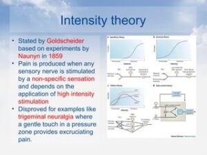 Intensity pain theory